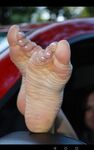 Lexi feet