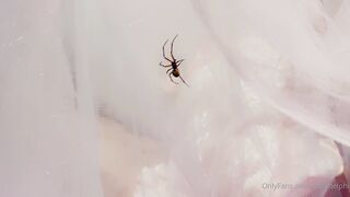 Belle Delphine   06 09 2020 Spooky Spider (1)