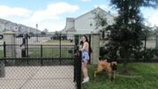 Thegorillagrip - Dog Park Blowjob